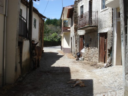Dorpszicht met hond en ezel in Argozelo.